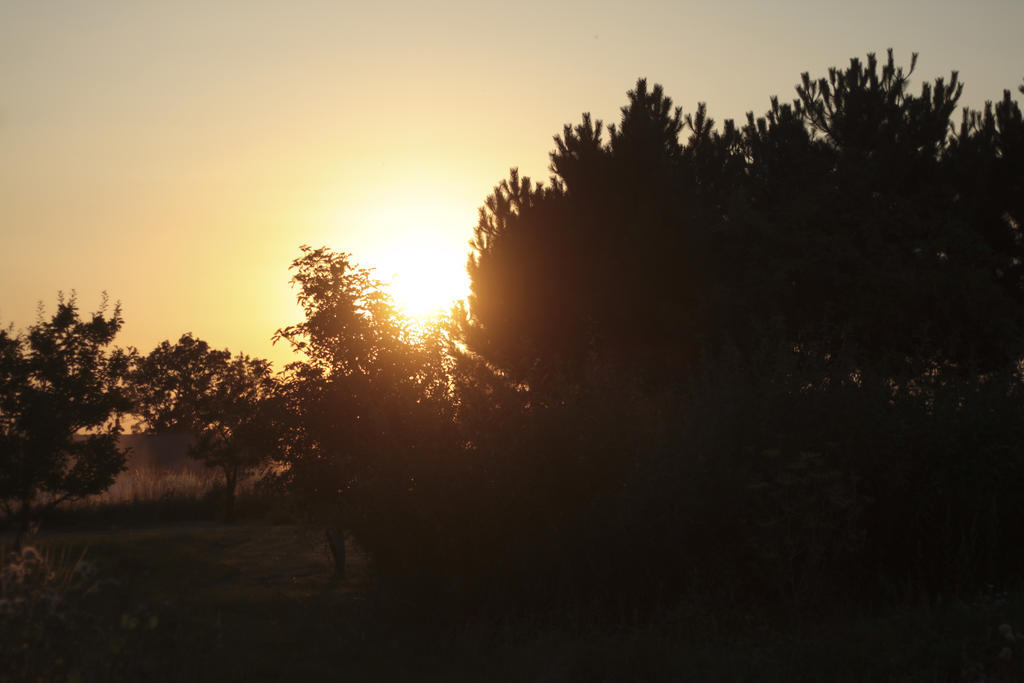 Quistgaarden Bed & Breakfast Spjellerup エクステリア 写真